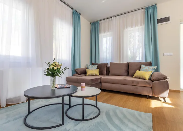 Nemes The Great - Petite